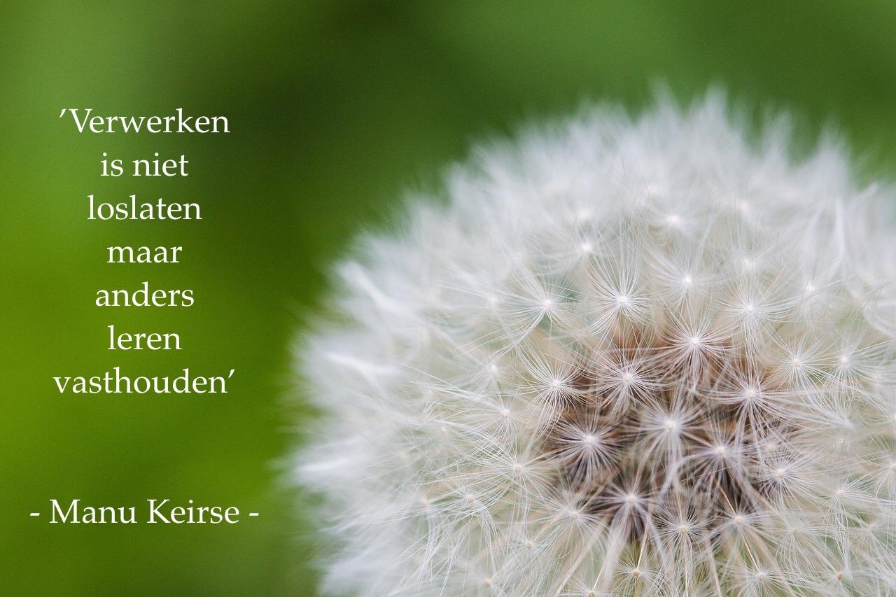 Kom Ook Jongerenavonden - Omgaan met verlies en verdriet